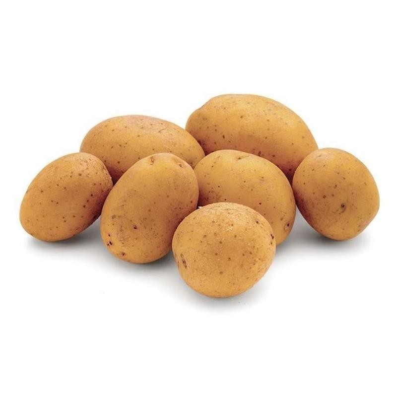 

Terbaru Kentang Dieng Ukuran Sedang Murah 1Kg Super