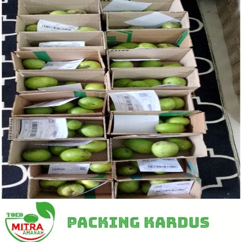 

Keuntungan Mangga Muda Apel Fresh 600 Gr