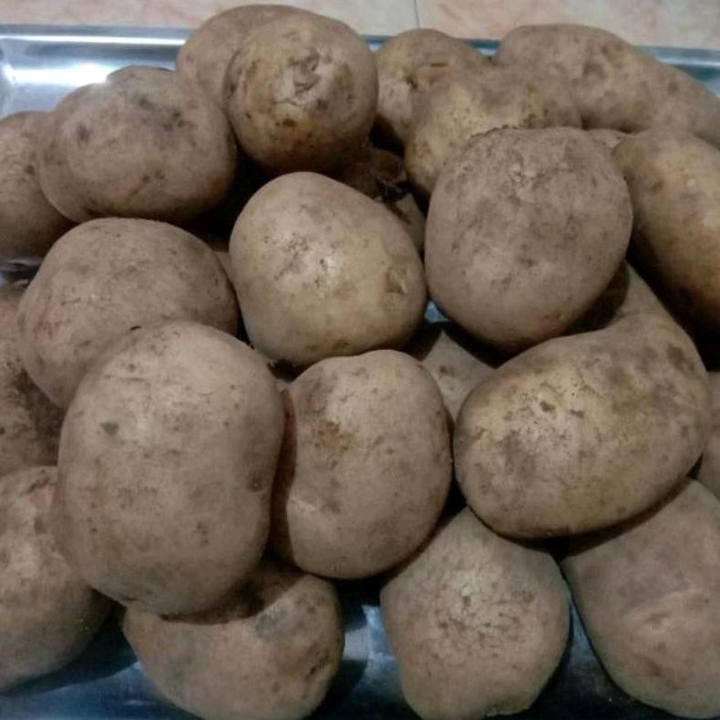 

Premium Terbaik Kentang Dieng Segar 500 Gr