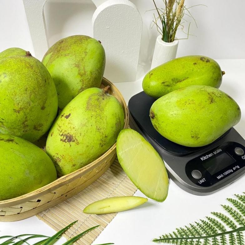 

Paling Laris Mangga Muda Rujak Super 1 Kg | Buah Segar Fresh