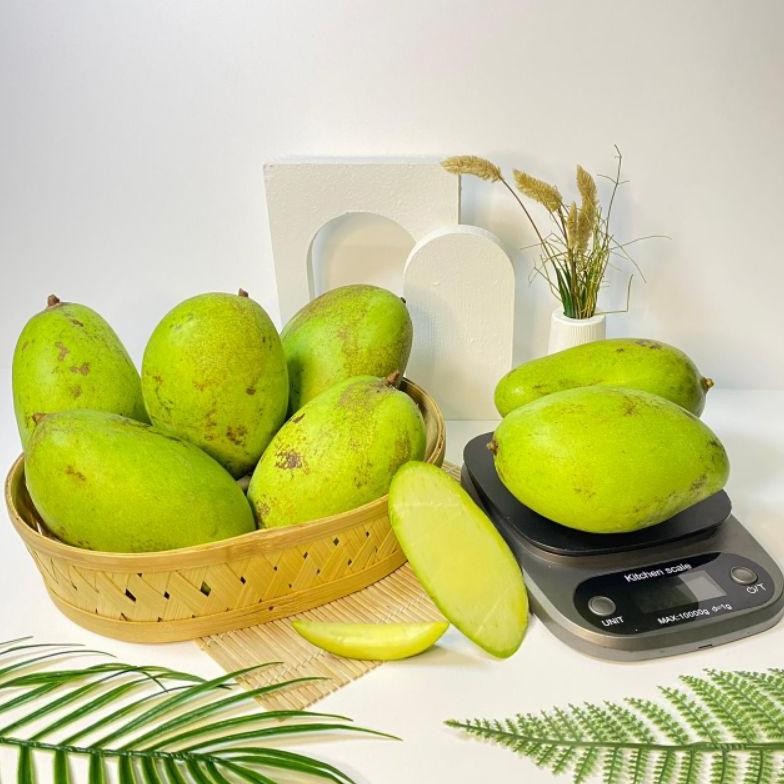 

Kualitas Tertinggi Mangga Muda Rujak Super 1 Kg | Buah Segar Fresh