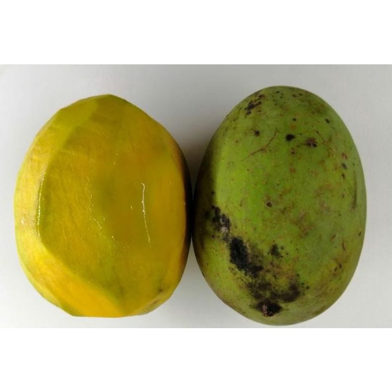 

Satisfaction Buah Mangga Kweni Segar 1Kg Antioksidan Harum