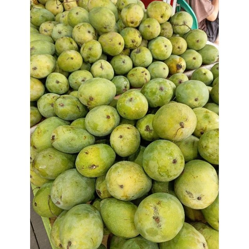 

Keunggulan Mangga Harum Manis 1Kg 4/5 Manis Dan Harum