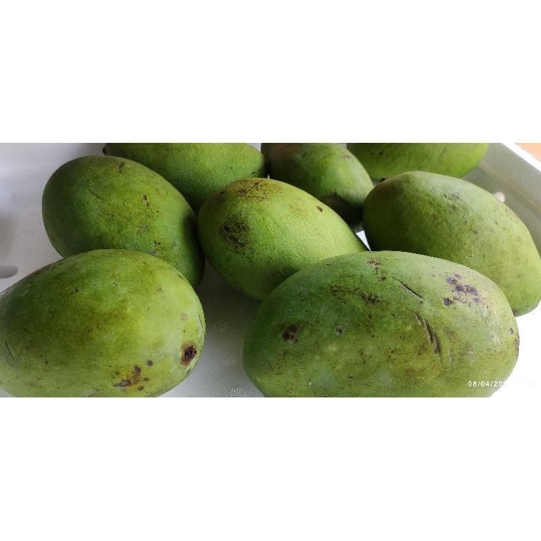

Simplicity Pencit Mangga Muda Fresh