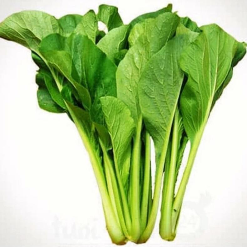 

New Sayur Daun Katuk, Bayam Hijau, Bayam Merah, Kangkung, Caisim, Sayur Segar Ibaza Fruitsbox