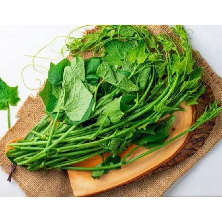 

Momen Spesial Daun Pucuk Labu Siyam/Daun Pucuk Waluh Hijau Segar 200Gram