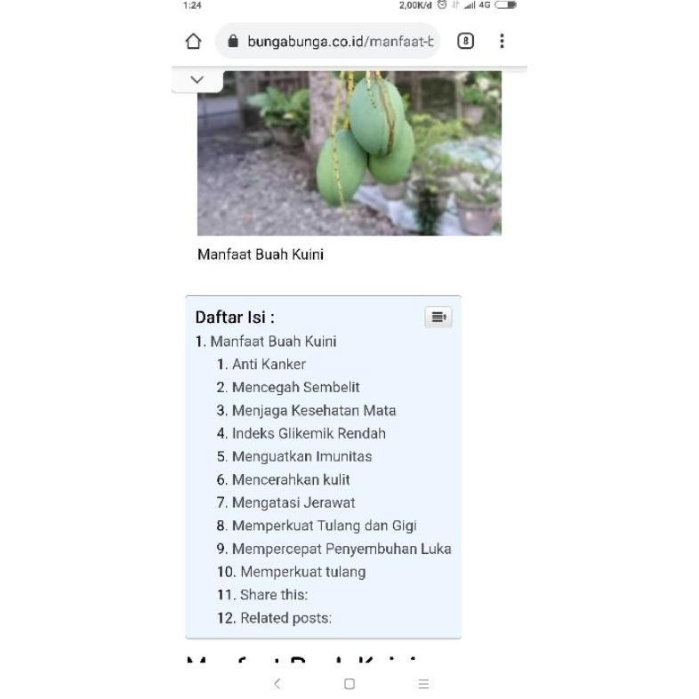 

Wajib Miliki Buah Mangga Kueni Berat 1 Kg, Pengiriman Medan