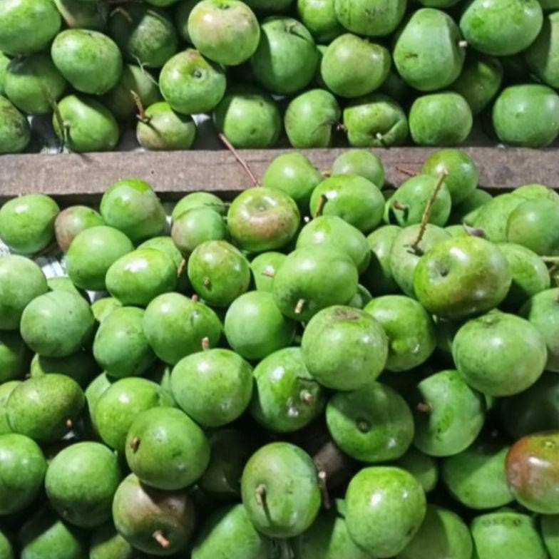 

Terbatas Mangga Apel Muda 1Kg Buat Rujak/Ibu Hamil