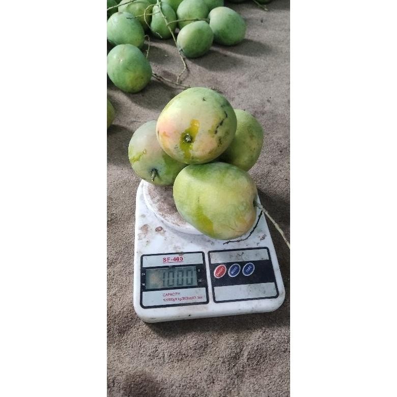 

Dapatkan Mangga Gedong Gincu Segar 1Kg Manis Alami
