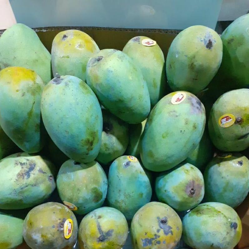 

Inovatif Mangga Harum Manis Matang Pohon