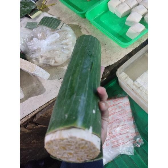 

Special Tempe Bulat / Tempe Bundar Ukuran Panjang 1Pcs