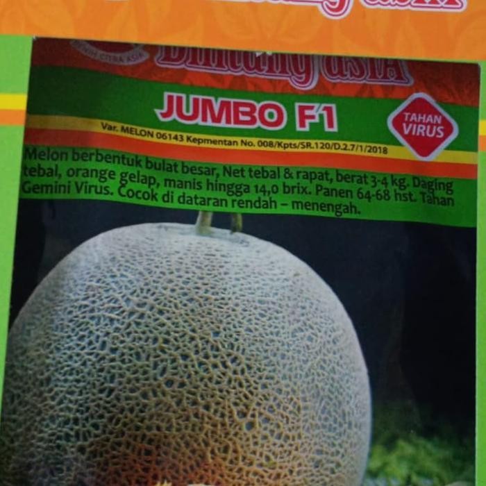 Melon JUMBO F1 "bintang asia" Diskon