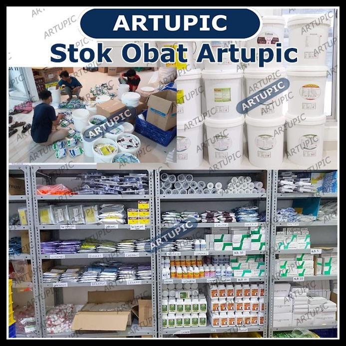 SOLVIT 300 ML ASAM AMINO LENGKAP VITAMIN UNTUK AYAM HEWAN UNGGAS MEDION ARTUPIC