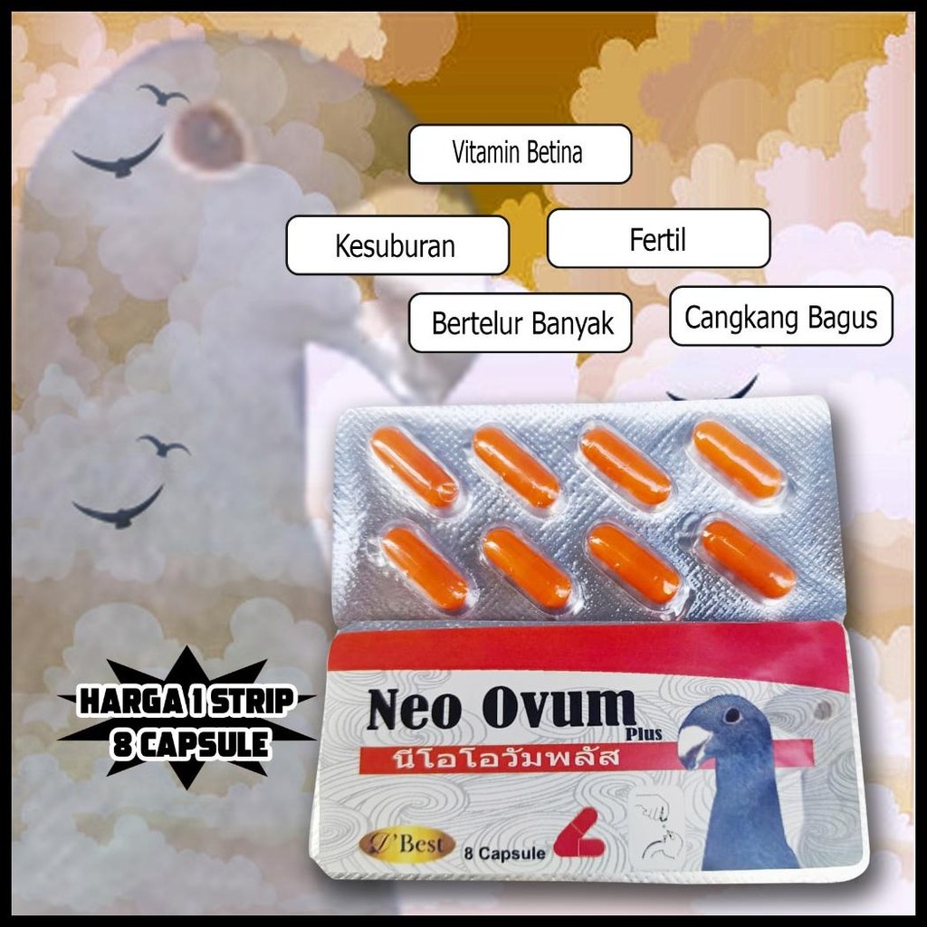VITAMIN BURUNG BETINA NEO OVUM BEST BETELOR FERTIL TERNAK TELUR BURUNG