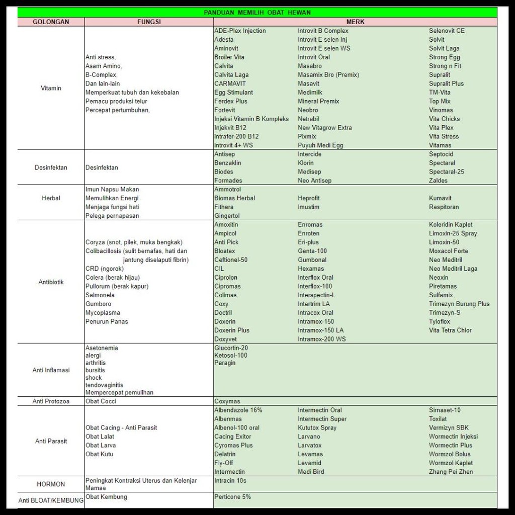 C-SAN 100 GRAM VITAMIN C DOSIS TINGGI 500 MG STRES UNGGAS AYAM SANBE
