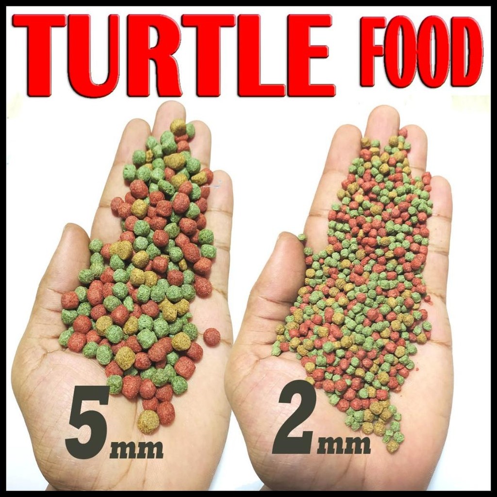 MAKANAN KURAKURA AIR TURTLES FOOD PAKAN PELET TURTLE KURA BRAZIL RES CST PIPUT RAZOR KURA AMBON DADA