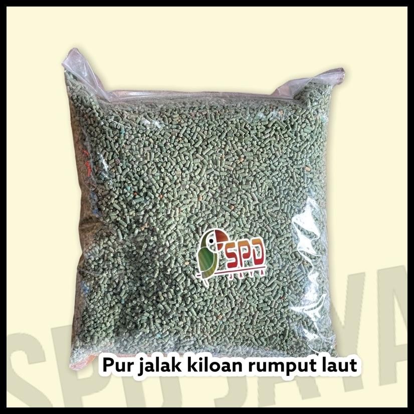 PUR PRIMA / PUR JALAK 1KG / PAKAN BURUNG KUTILANG JALAK TRUCUK