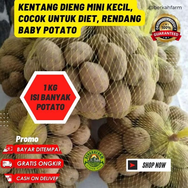

Terjangkau Kentang Dieng Mini Kecil 1Kg Isi Lebih Banyak Kualitas Sama Cocok Untuk Diet