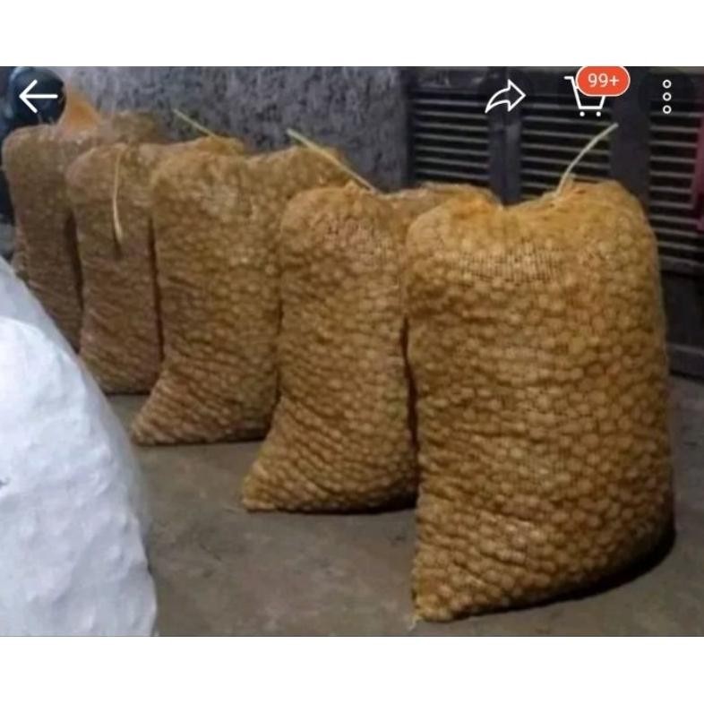 

Fitur Lengkap Kentang 1 Kg Freesss