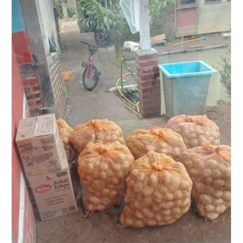 

Aman Terbaik Kentang Super Segar [ Ukuran Sedang 500 Gr ]