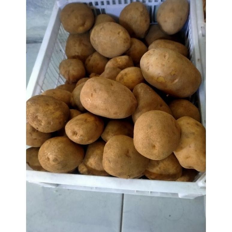 

Hemat Kentang Dieng Ukuran Besar Sedang Neto 1Kg