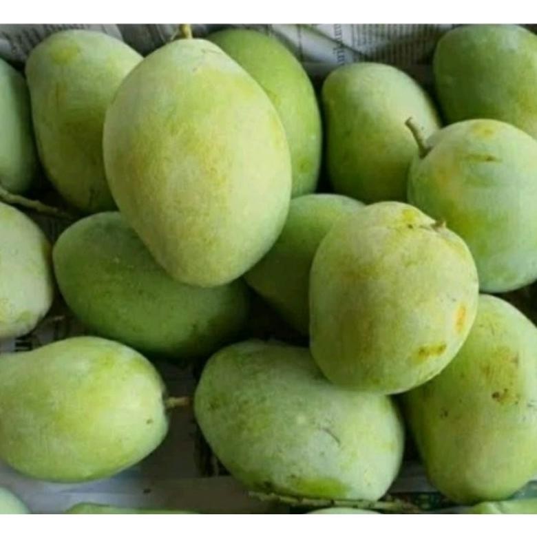 

Original Mangga Mangkal 1Kg
