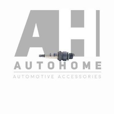 Busi Yamaha RX King - RX-S RXS - BRISK Silver Racing N10S