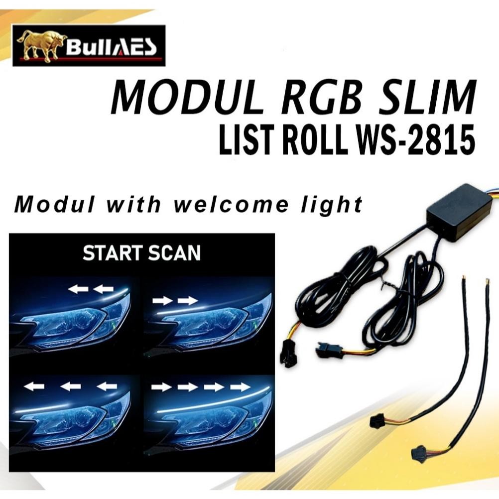 Modul Slim Matrix List Roll RGB WS 2815 Welcome Light