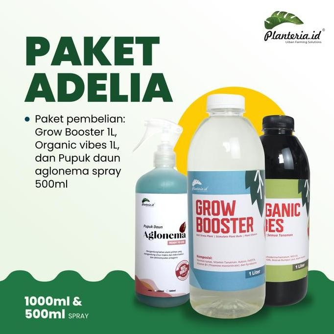 NEW Pupuk Organik Vitamin B1 Aglonema Paket Adelia tanaman