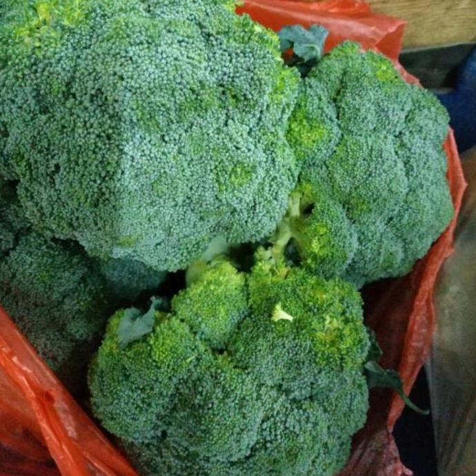 

Sayur Brokoli Hijau Segar
