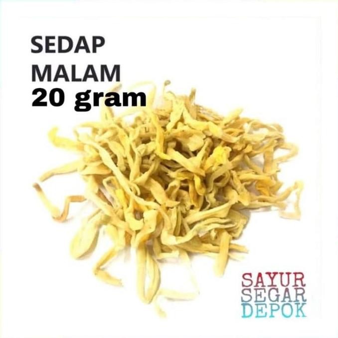

BUNGA SEDAP MALAM SAYUR / SAYUR SEGAR DEPOK