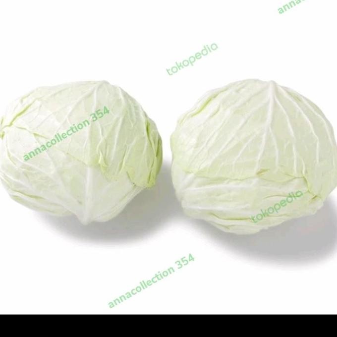 

kol segar 1kg kubis sayur