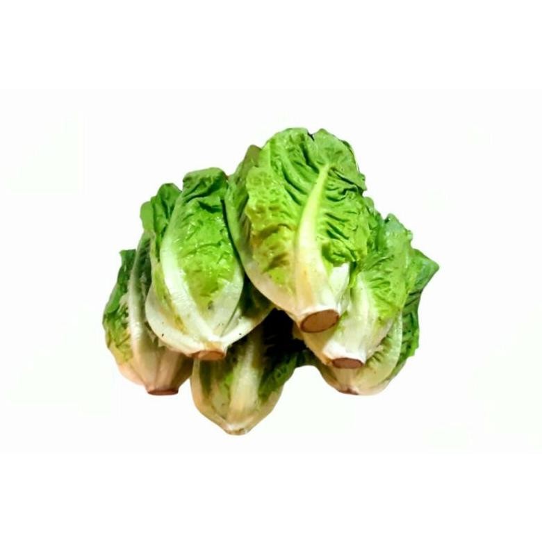 

Lettuce romaine /500gram