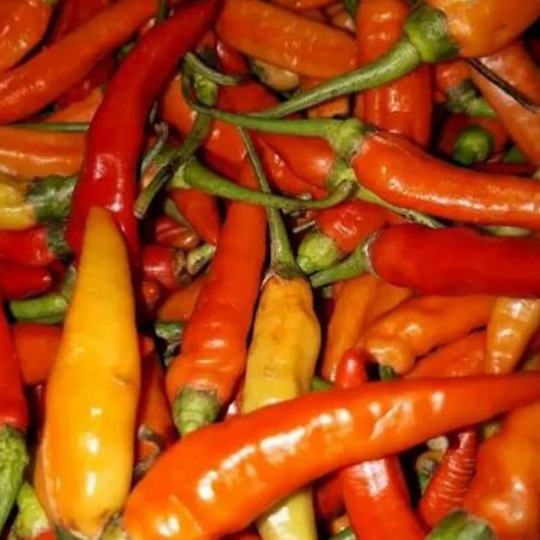 

Cabe Rawit 100-500gram | Cabai Segar | naga_exspress