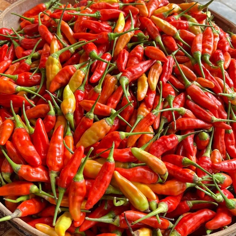 

cabe rawit ori 500gr