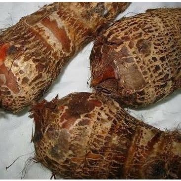 

Promo COD Umbi talas ungu /talas kimpul pilihan berkualitas 1kg