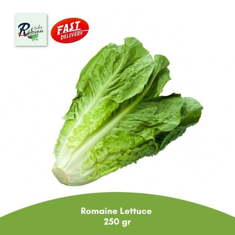 

Romaine Lettuce 250 gr