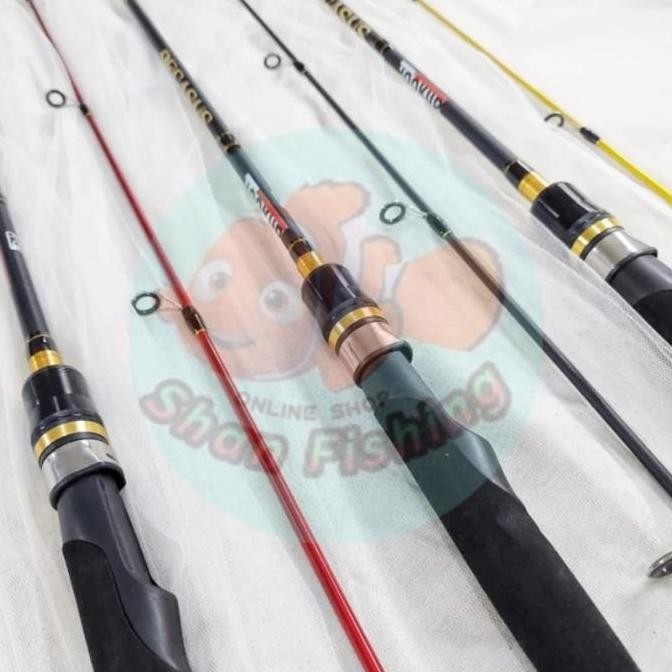 * Joran Spinning Hookup Pegasus *