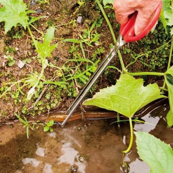 Crab Tongs Gunting Capit Penangkap Belut Kepiting Ikan Panjang 52 Cm Ujung Flat Dan Lengkung Multifu