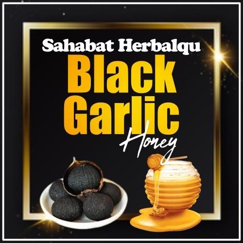 

BAWANG MADU BLACK GARLIC BAWANG HITAM TUNGGAL BAWANG TUNGGAL BAWANG FERMENTASI BAWANG GARLIC HITAM MADU