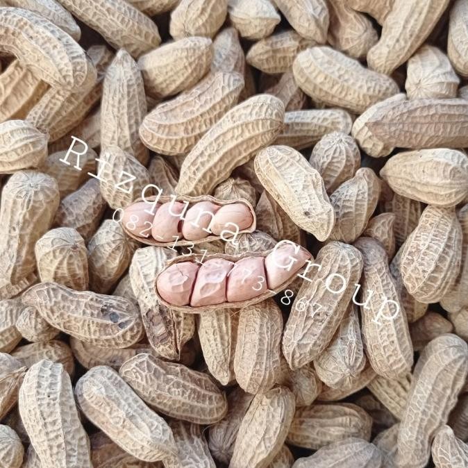 

(Expert) Kacang Oven Kacang Asin 500gr