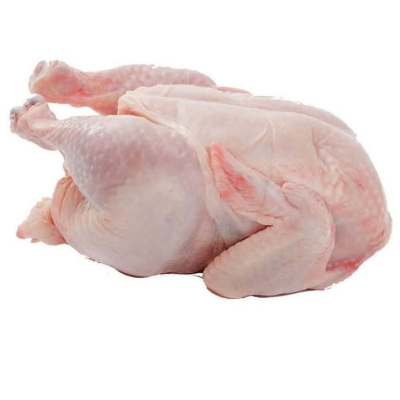 

Ayam Negeri Besar 1.2 Kg - Ayam Utuh Segar Frozen Halal Original