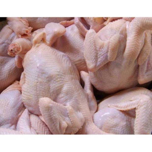 

Ayam Potong Per Ekor - Segar - Halal - Frozen - Ayam Broiler Utuh Original