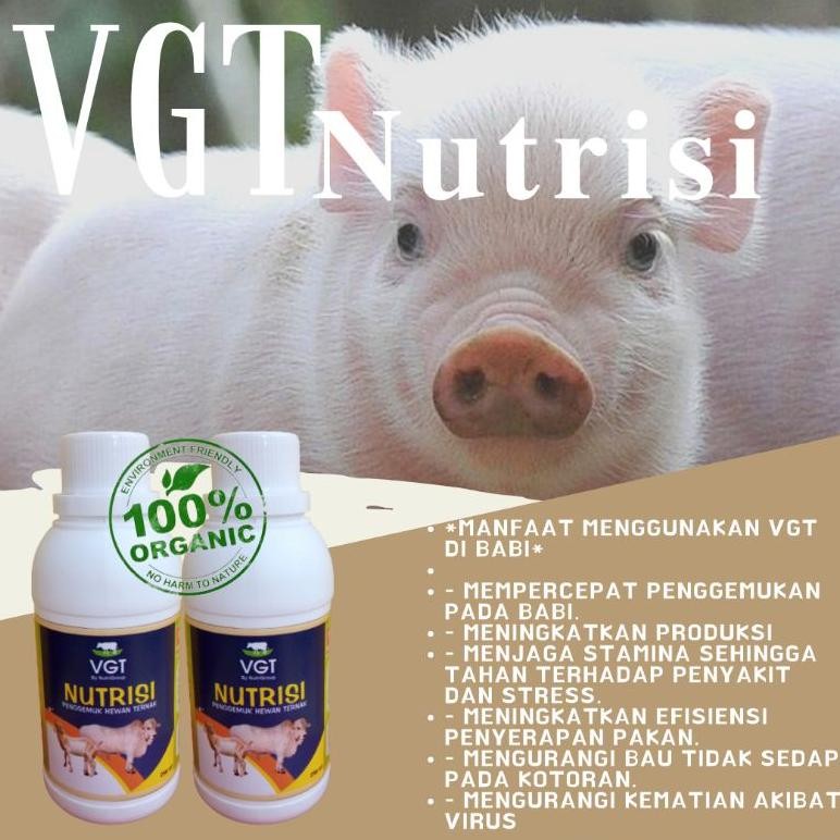VGT NUTRISI VITAMIN TERNAK BABI