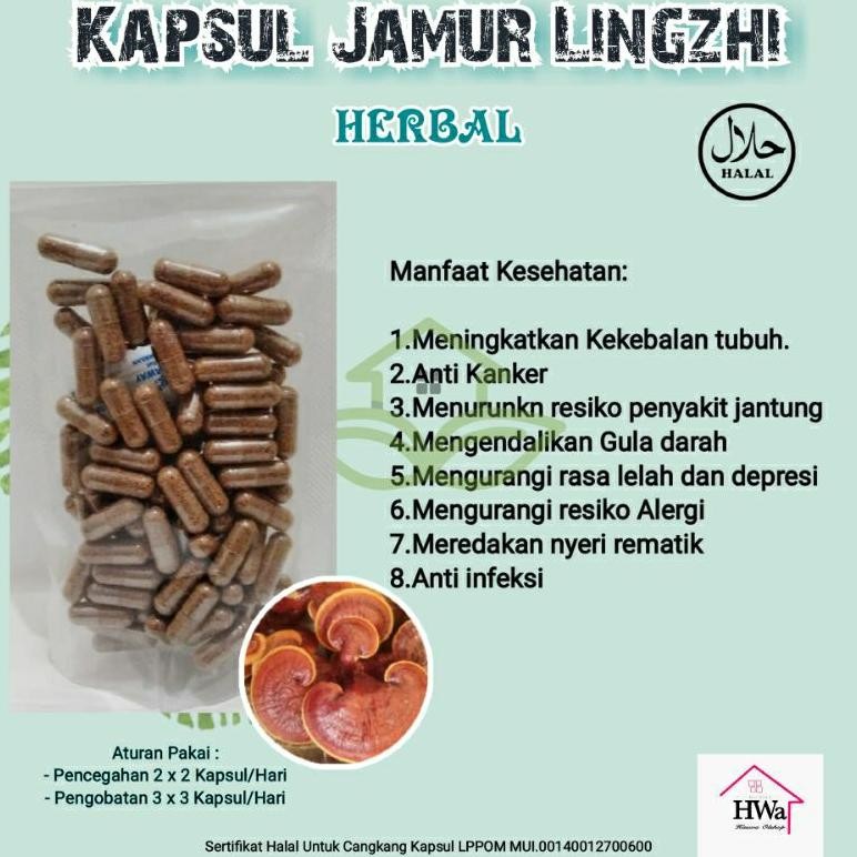 

Kapsul Jamur Lingzhi Herbal Anti Kanker, Tumor, dan Kekebalan Tubuh isi 100 Kapsul