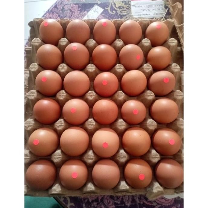 

(Expert) Telur Ayam Super Premium 30 Butir