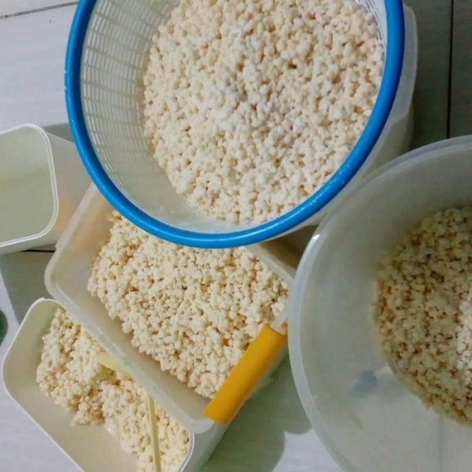 

(Expert) Bibit Kefir grains 25 gr/50 gr Kualitas Premium 100% Asli