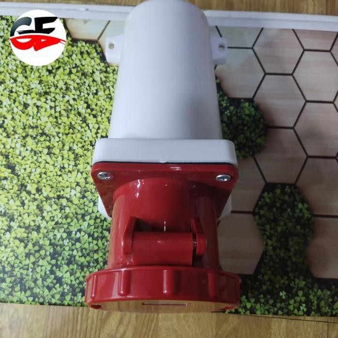 

Terlaris Cee 134 4Pole 63A Industrial Surface Mounting Socket Genset 4P Cee134