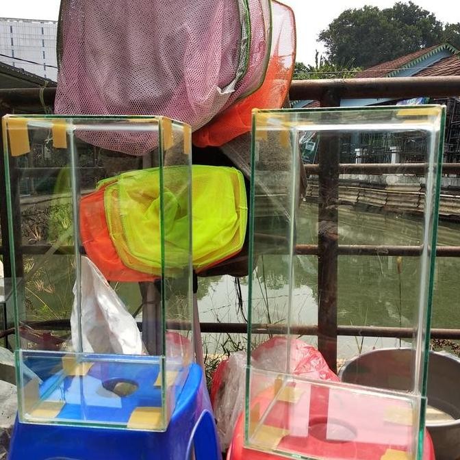 Aquarium Kaca Ukuran 40X20X20Cm