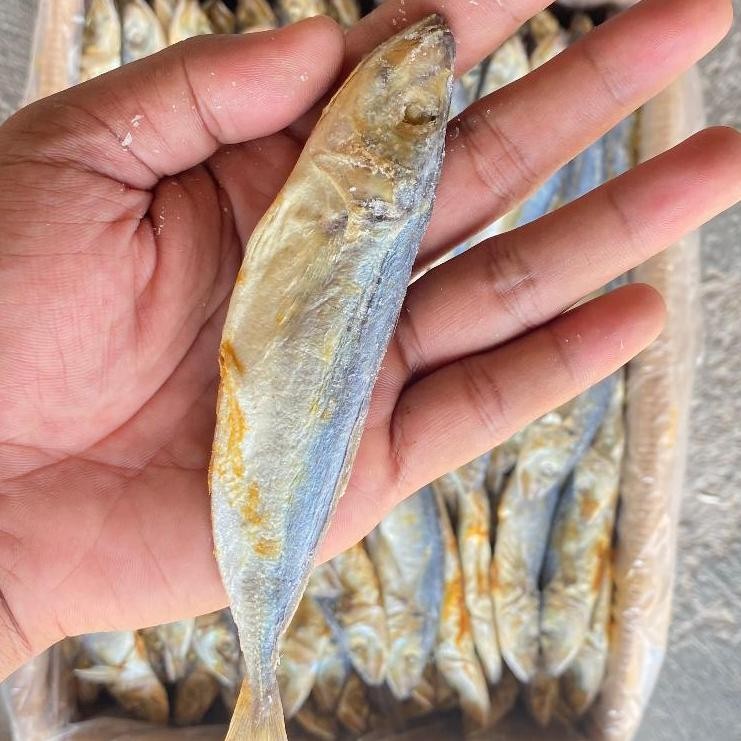 

Bisa Cod Ikan Asin Klotok Peda Layang 1Kg/Cocok Untuk Sambal Klotok/Tidak Mblenyek Ti-17